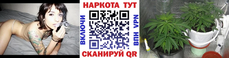 Где купить наркоту Володарск Гашиш  Кокаин  Меф  Alpha-PVP  Амфетамин  МАРИХУАНА 