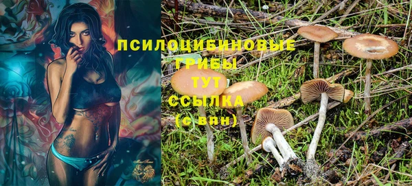 первитин Володарск