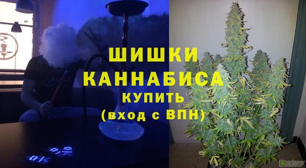 стаф Волосово