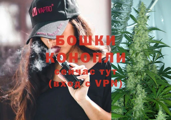 стаф Волосово
